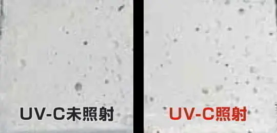 UV-C照射試験