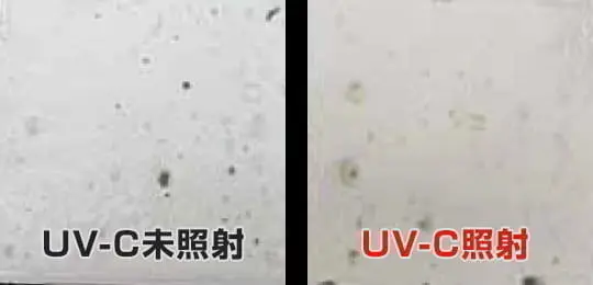 UV-C照射試験