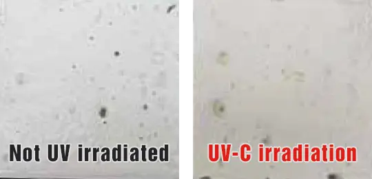 UV-C exposure test