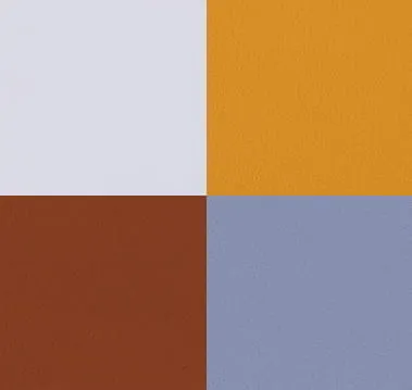 Paint Sample: Monochromatic